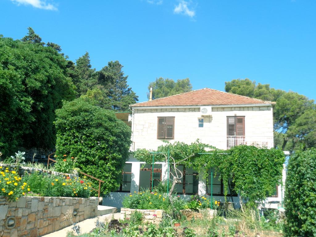 Apartments Skrivaneli Jelsa  Dış mekan fotoğraf