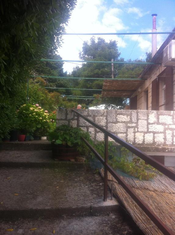 Apartments Skrivaneli Jelsa  Dış mekan fotoğraf